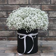 Цветочная композиция из Гипсофила в шляпной коробке #REPLACE_PRED# Райки