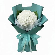 Букет цветов из:  Гортензия в Райки